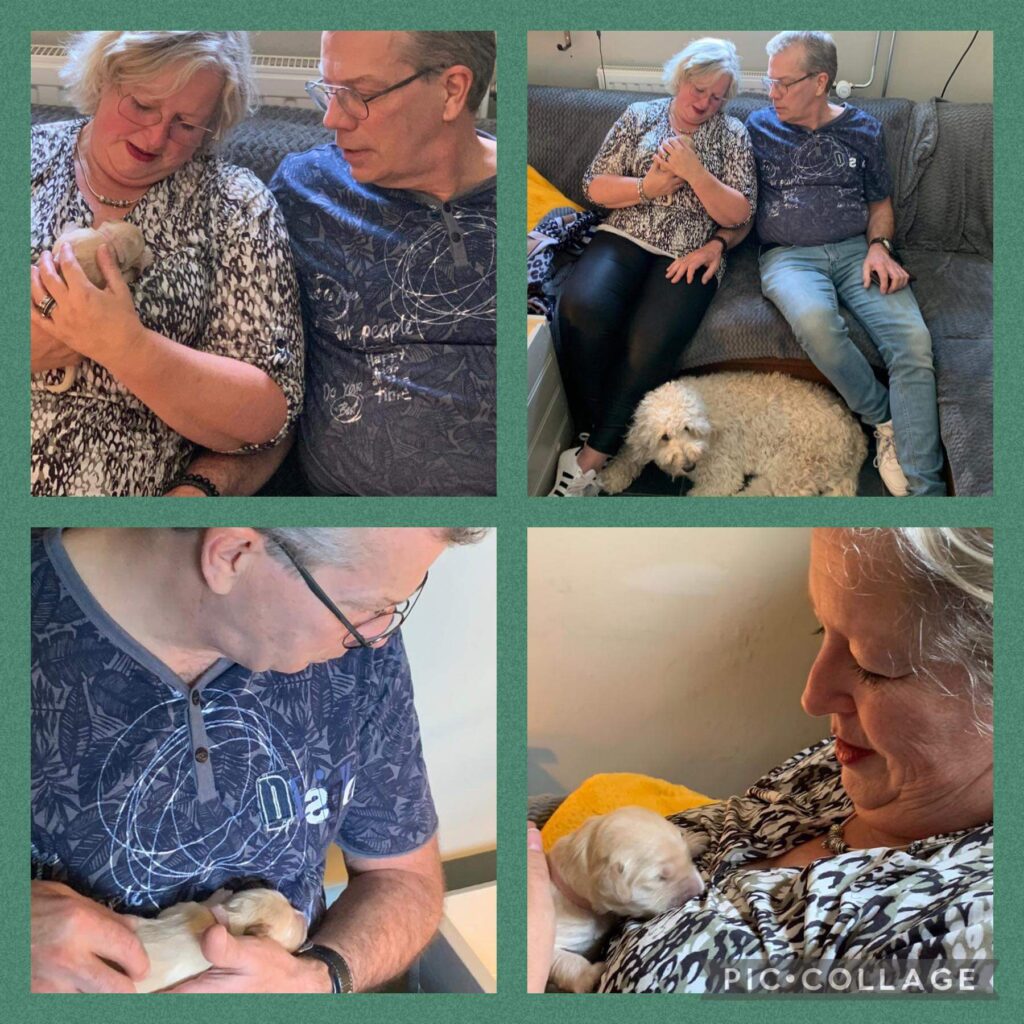 Baasjes met Bobbi